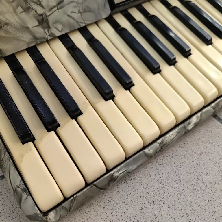 AKORDEON WELTMEISTER STELLA 120