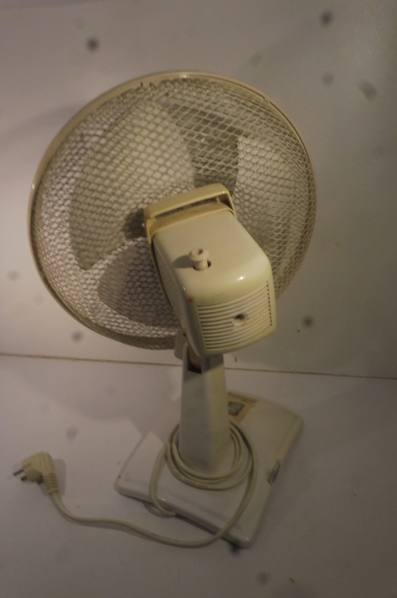 wiatrak-bialy-funkcje-brak