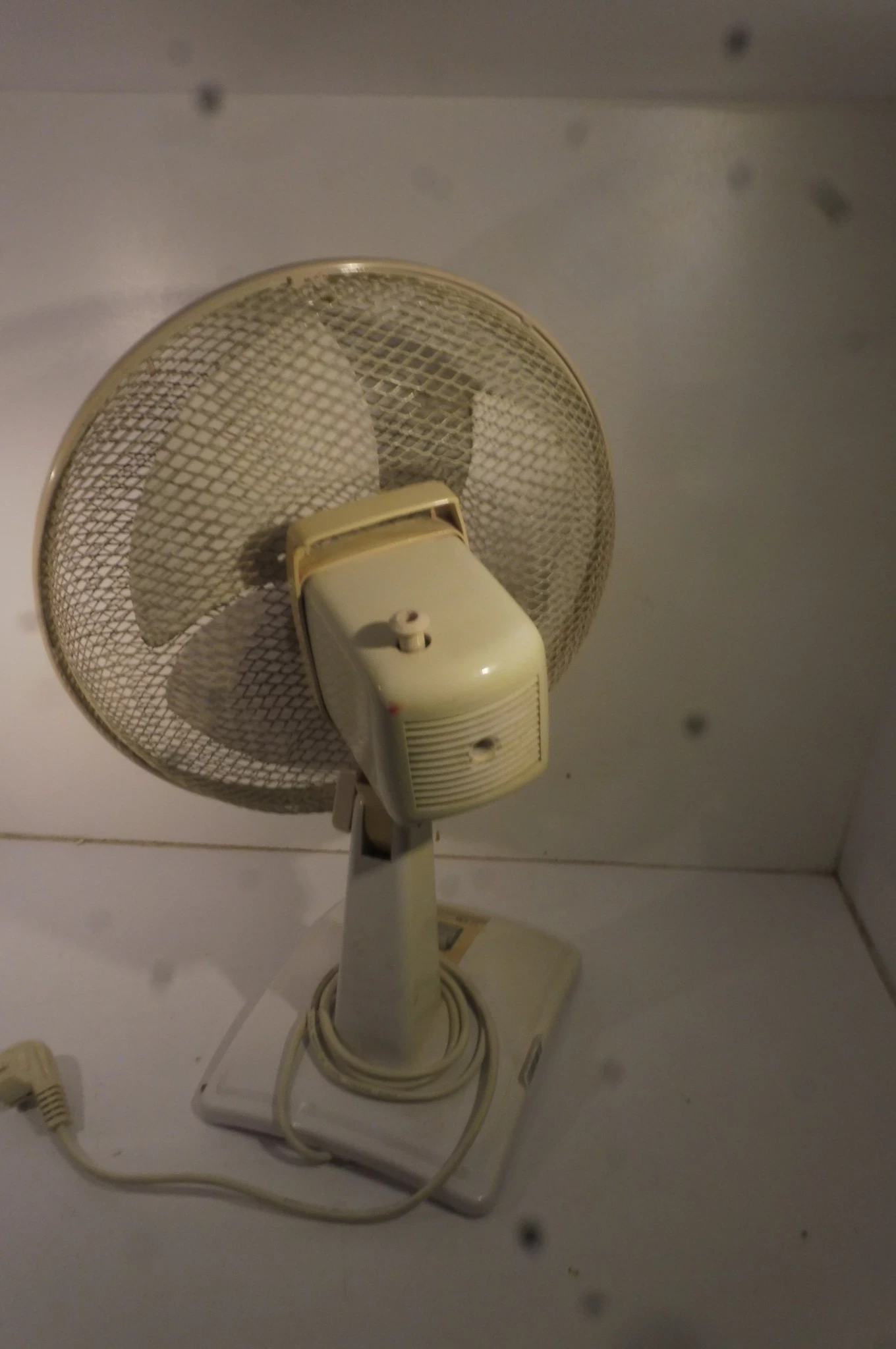 wiatrak-bialy-kolor-dominujacy-bialy