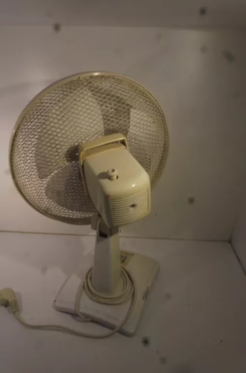 wiatrak-bialy-kolor-dominujacy-bialy