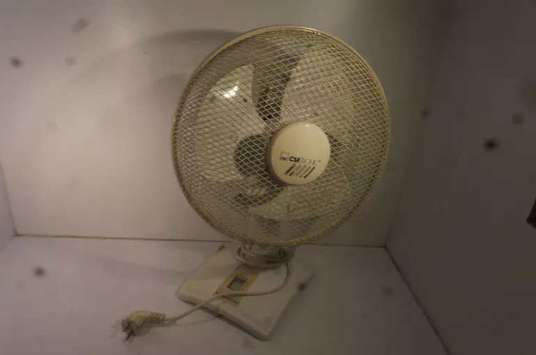 WIATRAK BIAŁY