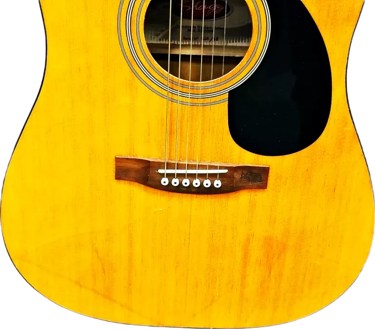 Stagg sw205n discount