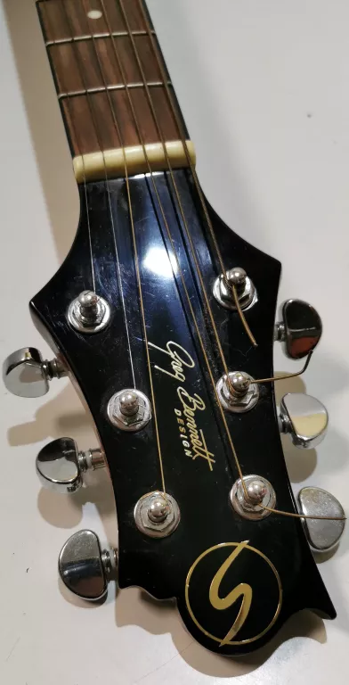 GITARA SAMICK D-2