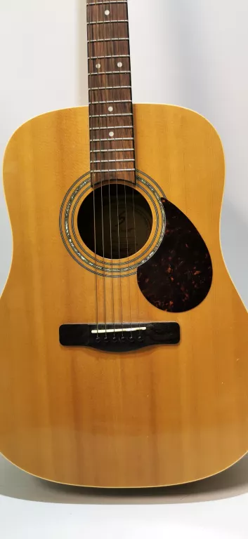 GITARA SAMICK D-2