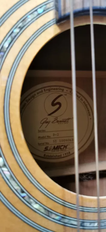 GITARA SAMICK D-2