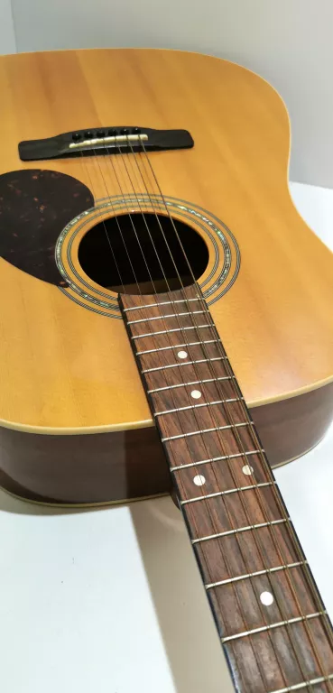 GITARA SAMICK D-2