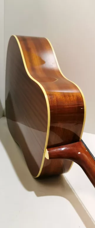 GITARA SAMICK D-2