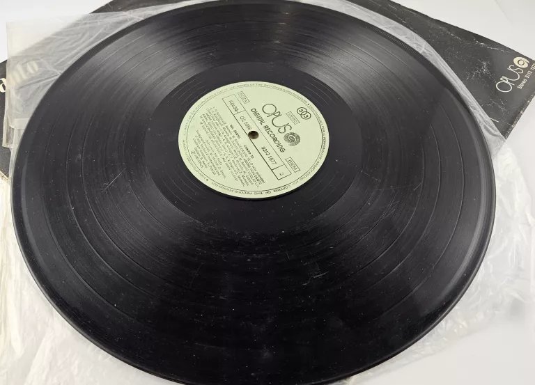 plyta-winylowa-nel-santo-canto-te-gatunek-250078-1797542