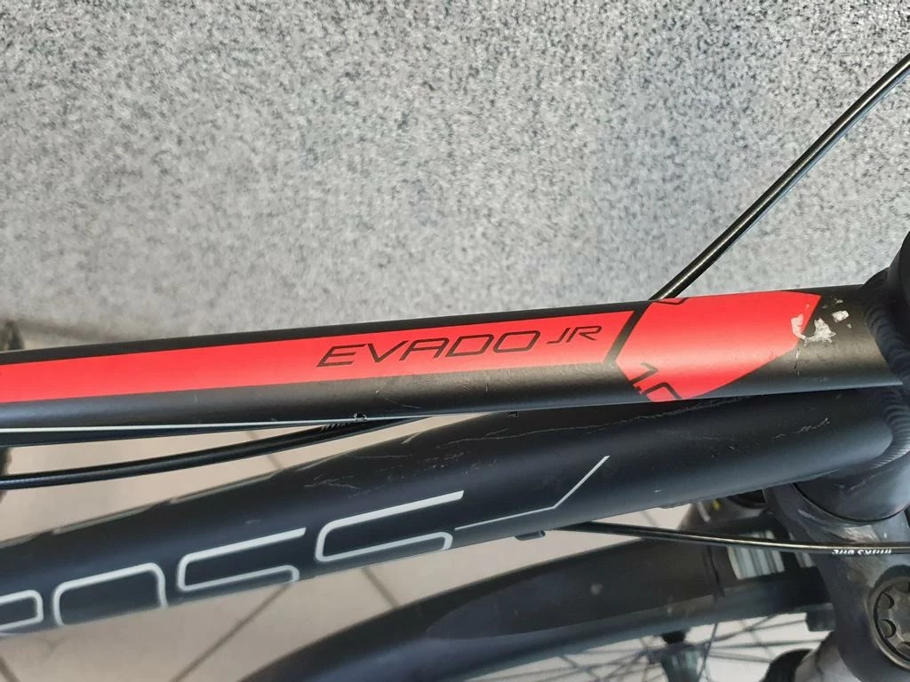 rower-kross-evado-jr-10-model-evado-jr-10