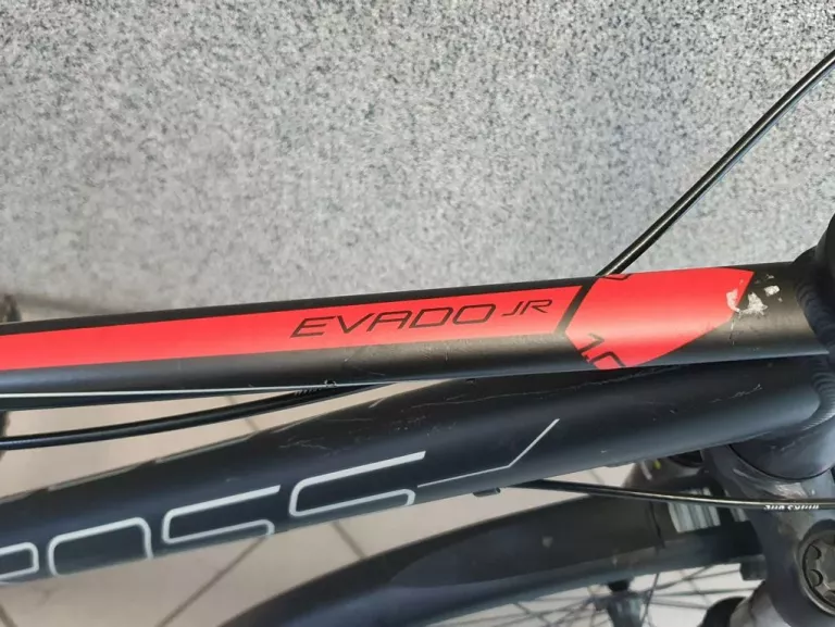 rower-kross-evado-jr-10-model-evado-jr-10