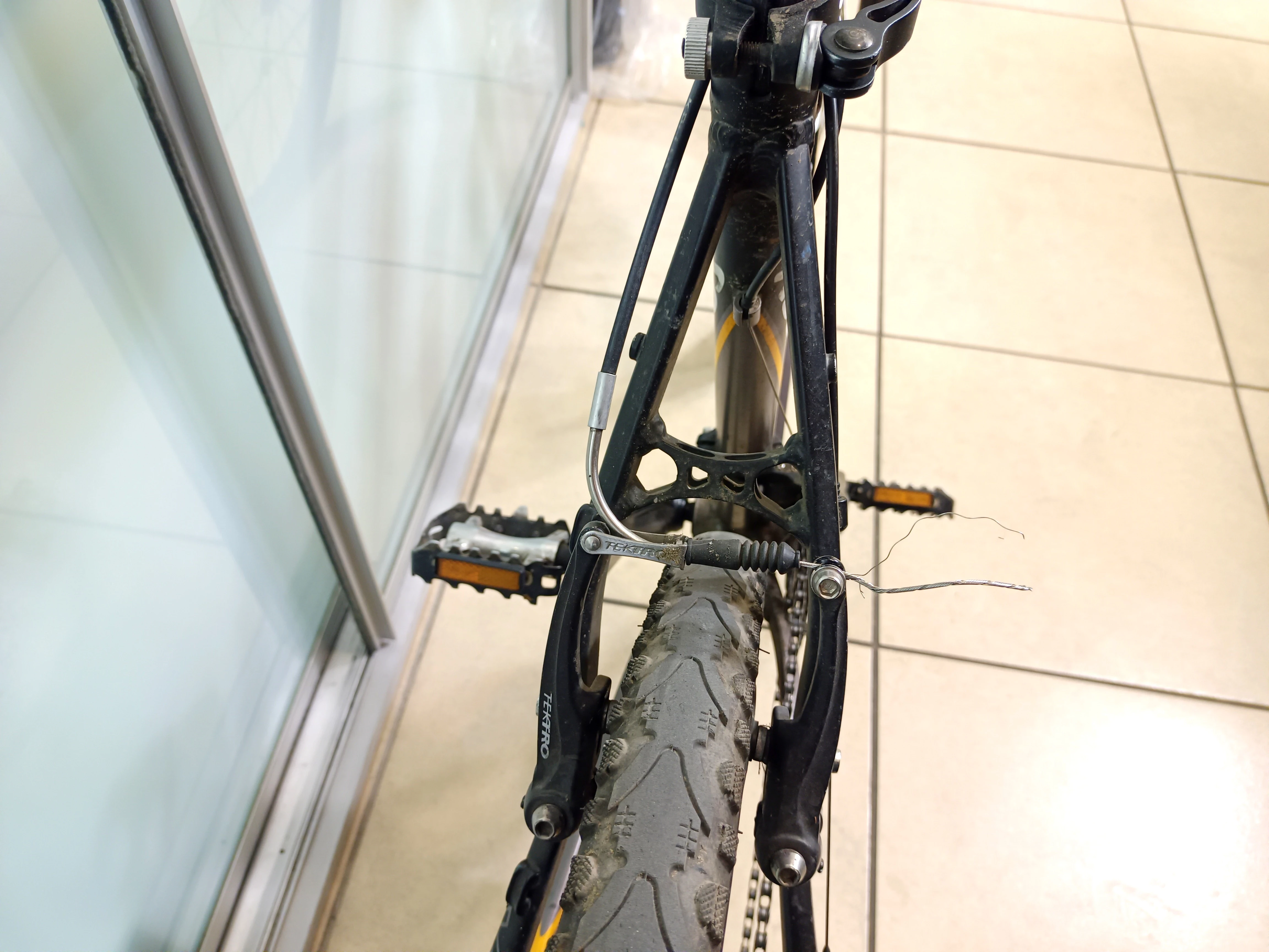 rower-kellys-salamander-195-kolor-inny