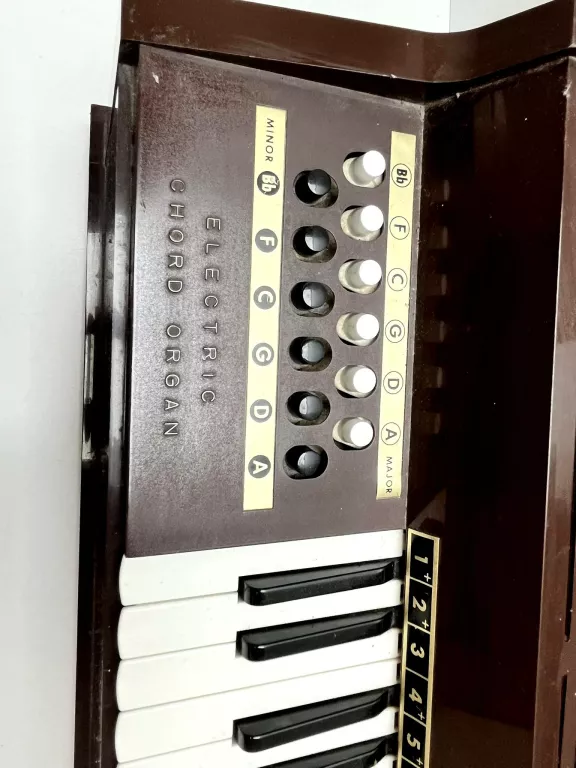 ORGANY MAGNUS 391
