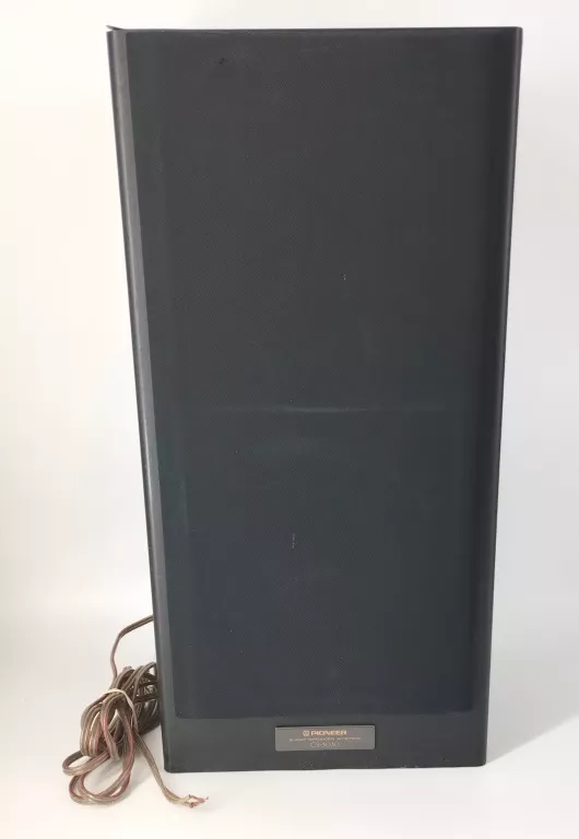 KOLUMNA GŁOŚNIKOWA PIONEER CS3030