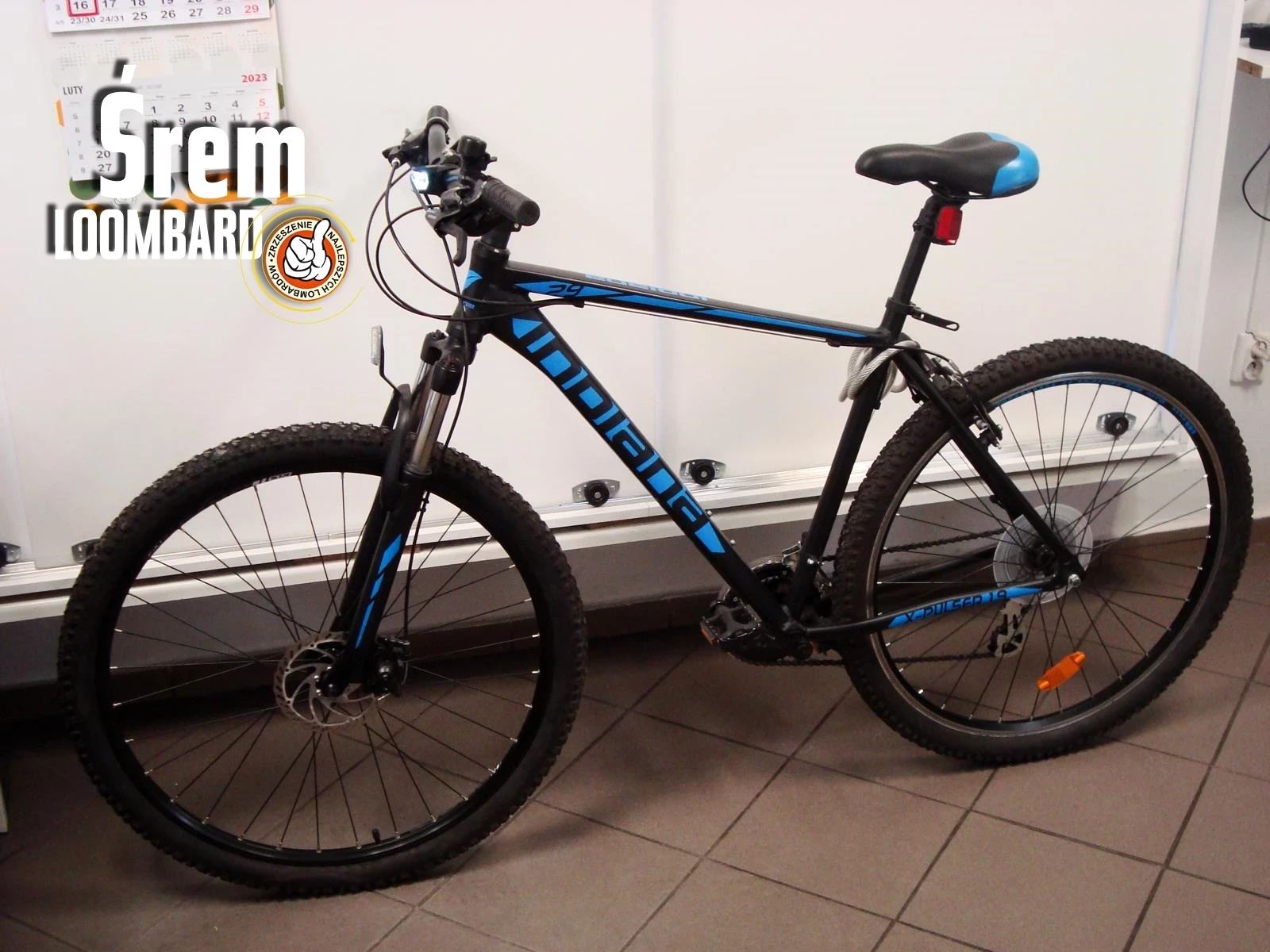 rower-indiana-x-pulser-19-29-kola-rama-21-cali-ean-gtin-8015236290035