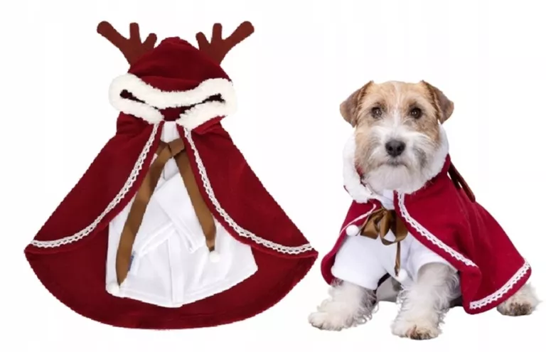 peleryna-kurtka-ubranko-swiateczne-psa-renifer-l-grabiszynska-30-wroclaw