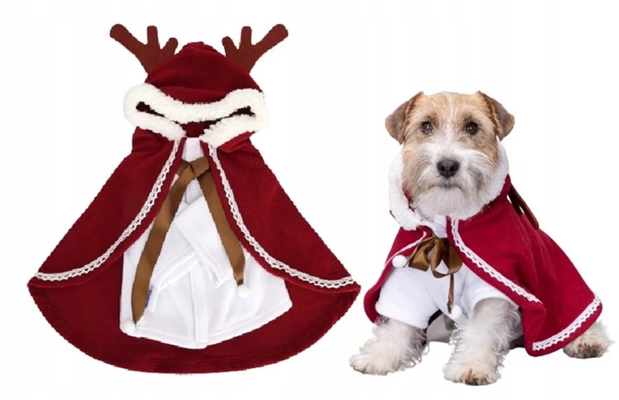 peleryna-kurtka-ubranko-swiateczne-psa-renifer-l-grabiszynska-30-wroclaw