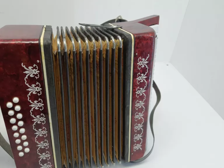 akordeon-razno-manbiw-16-basow-dabrowszczakow-1811-sj-olsztyn
