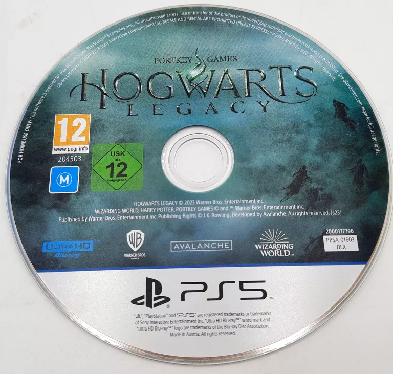 GRA PS5 DZIEDZICTWO HOGWARTU HOGWARTS LEGACY