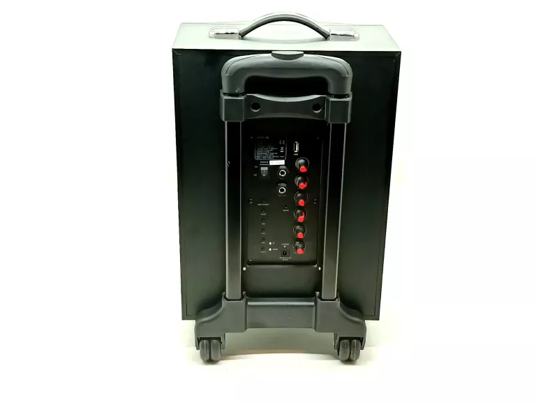 GŁOŚNIK WOLNOSTOJĄCY POSS PSTS805