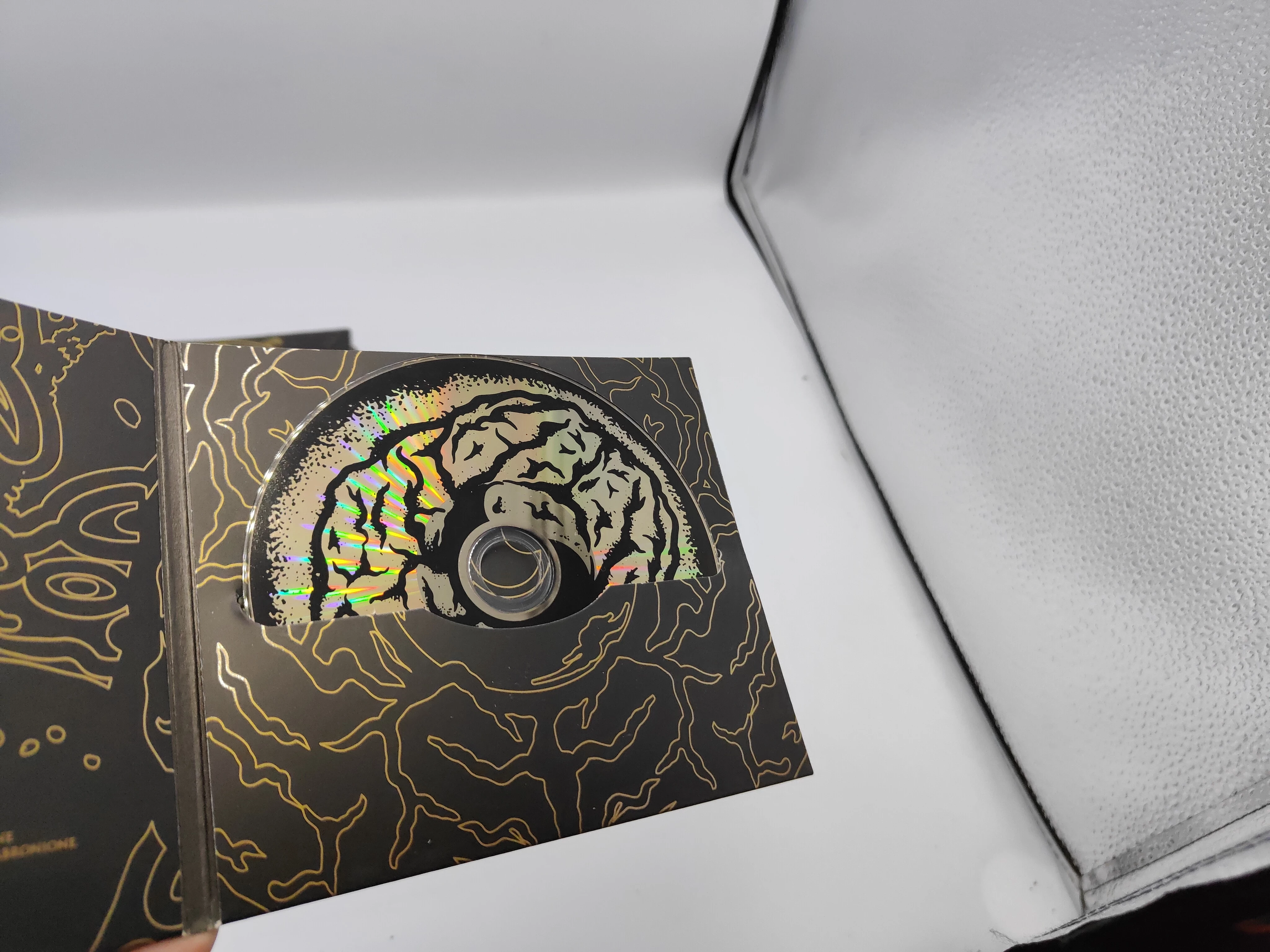 plyta-cd-brain-dead-familia-bdf-represent-wykonawca-bdf