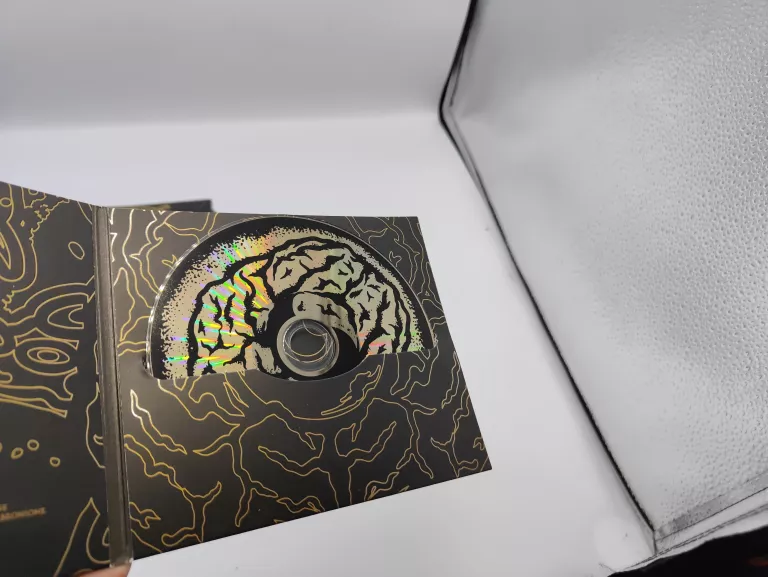 plyta-cd-brain-dead-familia-bdf-represent-wykonawca-bdf