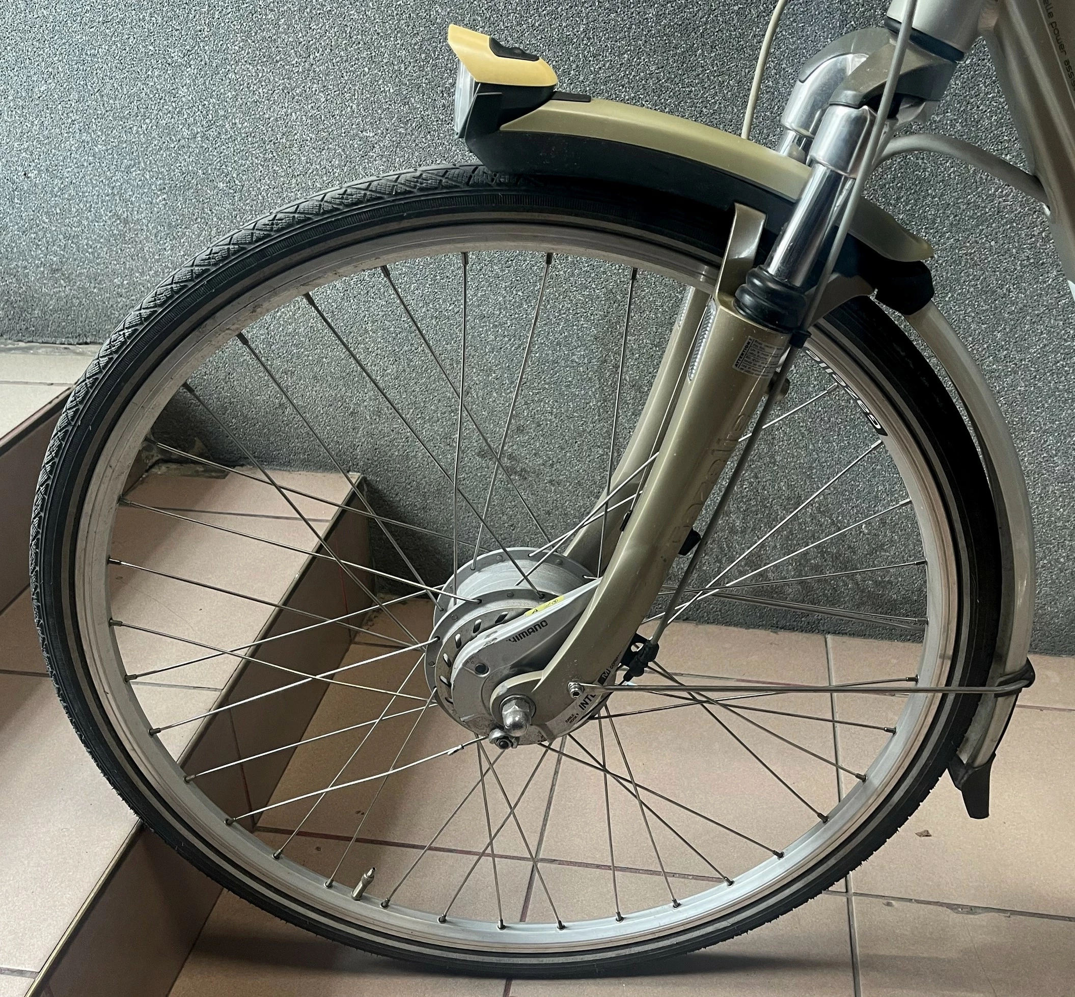 rower-elekrtyczny-gazelle-orange-plus-innergy-stan-uzywany