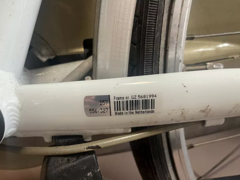 rower-elekrtyczny-gazelle-orange-plus-innergy-kolor-srebrny