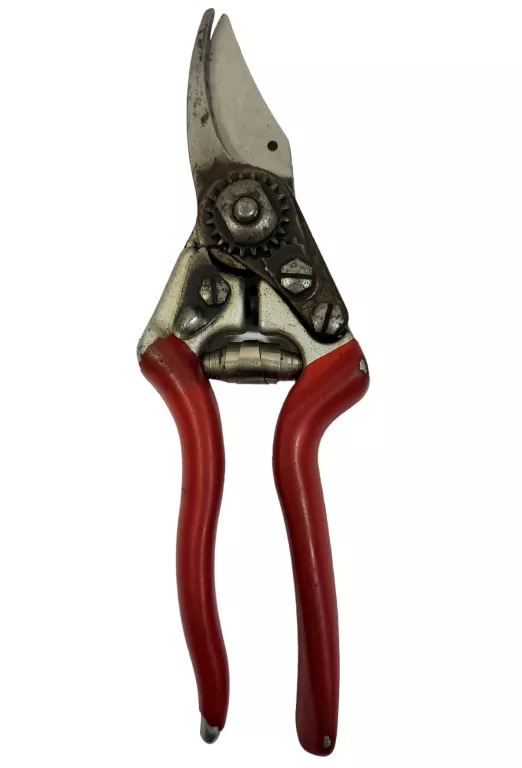 SEKATOR RACO