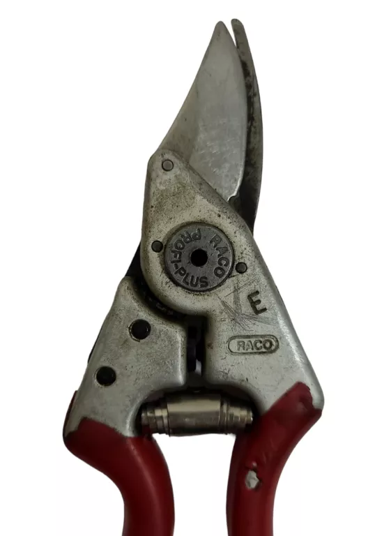 SEKATOR RACO