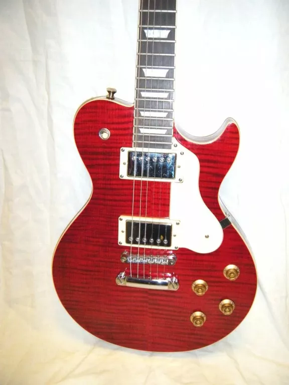 gitara-elektryczna-samick-avion-z-pokrowcem-rodzaj-inny