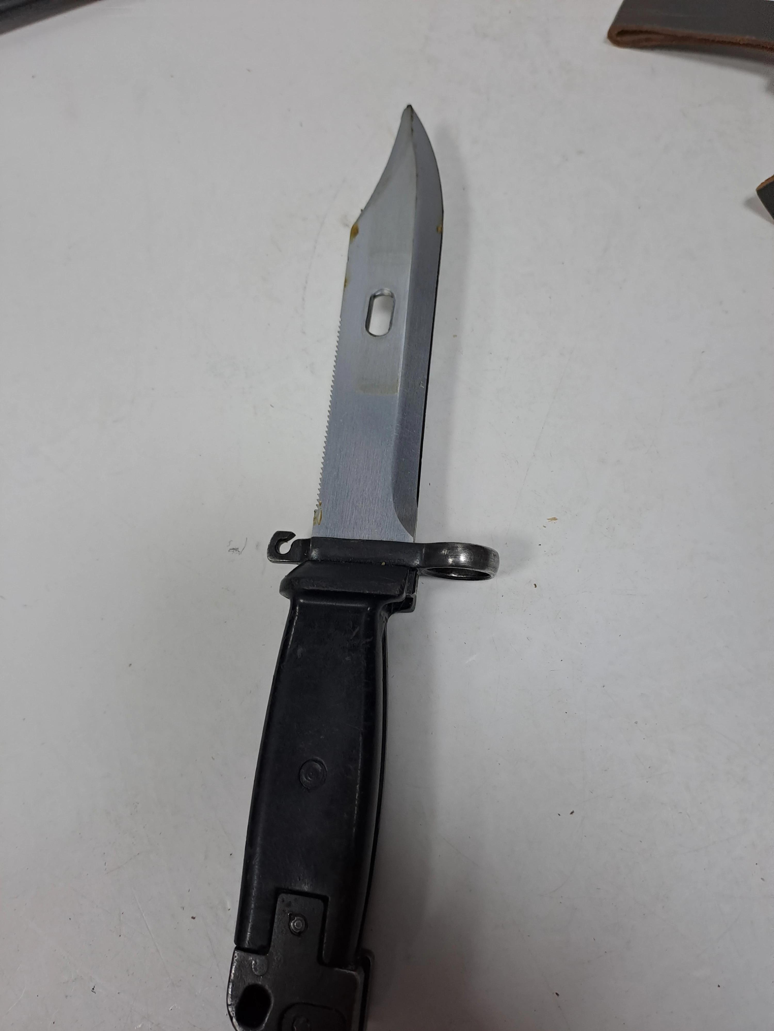 5-x-bagnet-mix-bagnet-francuski-grass-1872-chabrowa-4-jelcz-laskowice