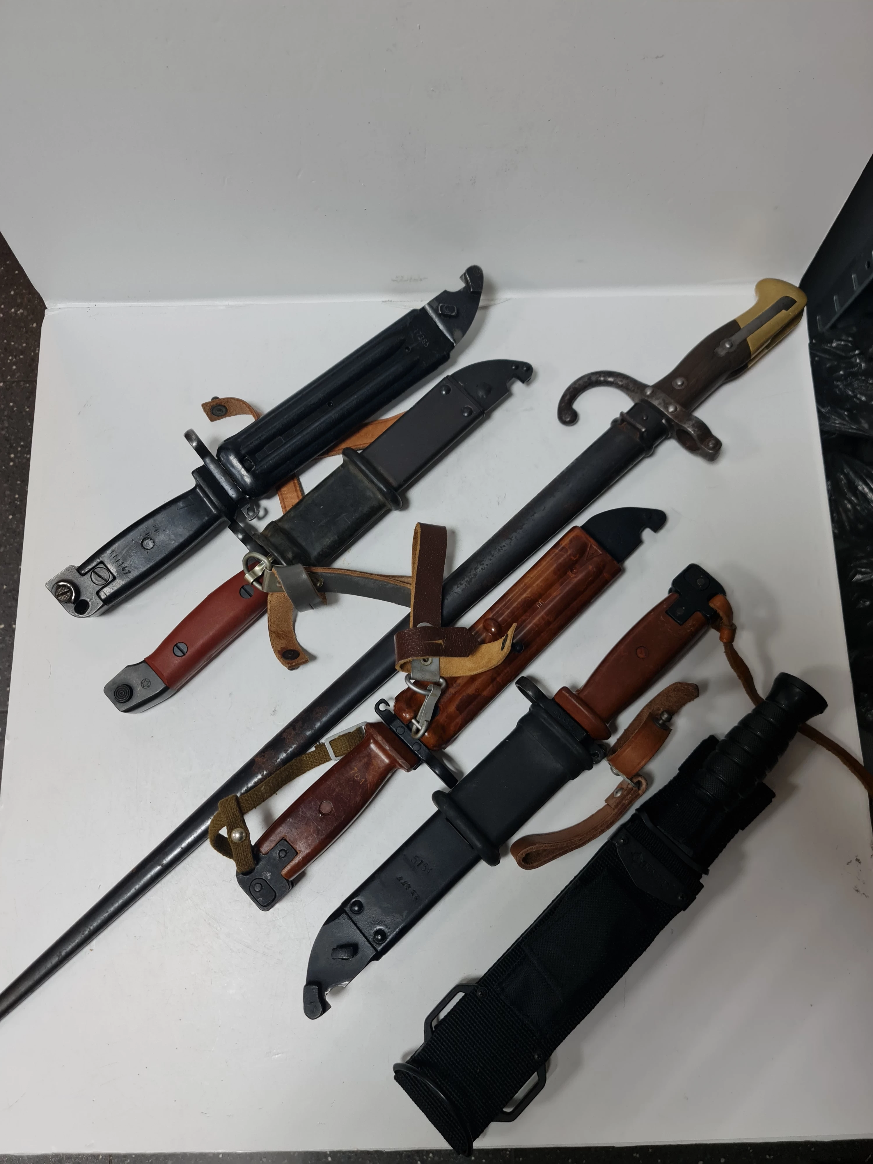 5-x-bagnet-mix-bagnet-francuski-grass-1872-chabrowa-4-jelcz-laskowice