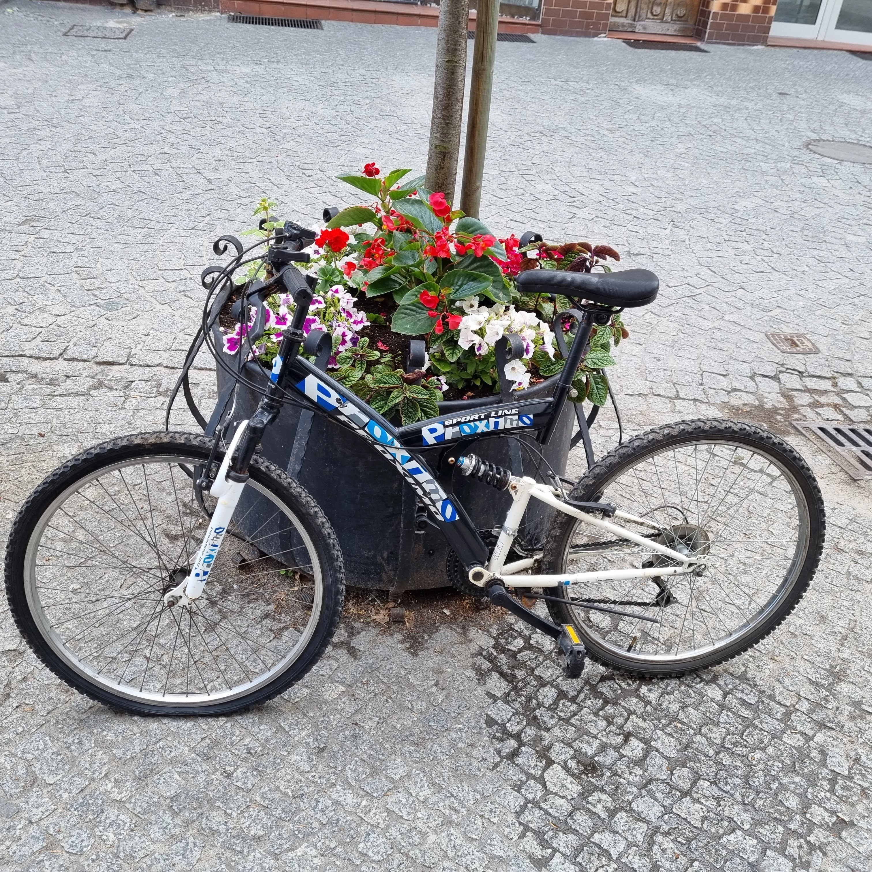 rower-proximo-ultra-light-sniadeckich-11-znin