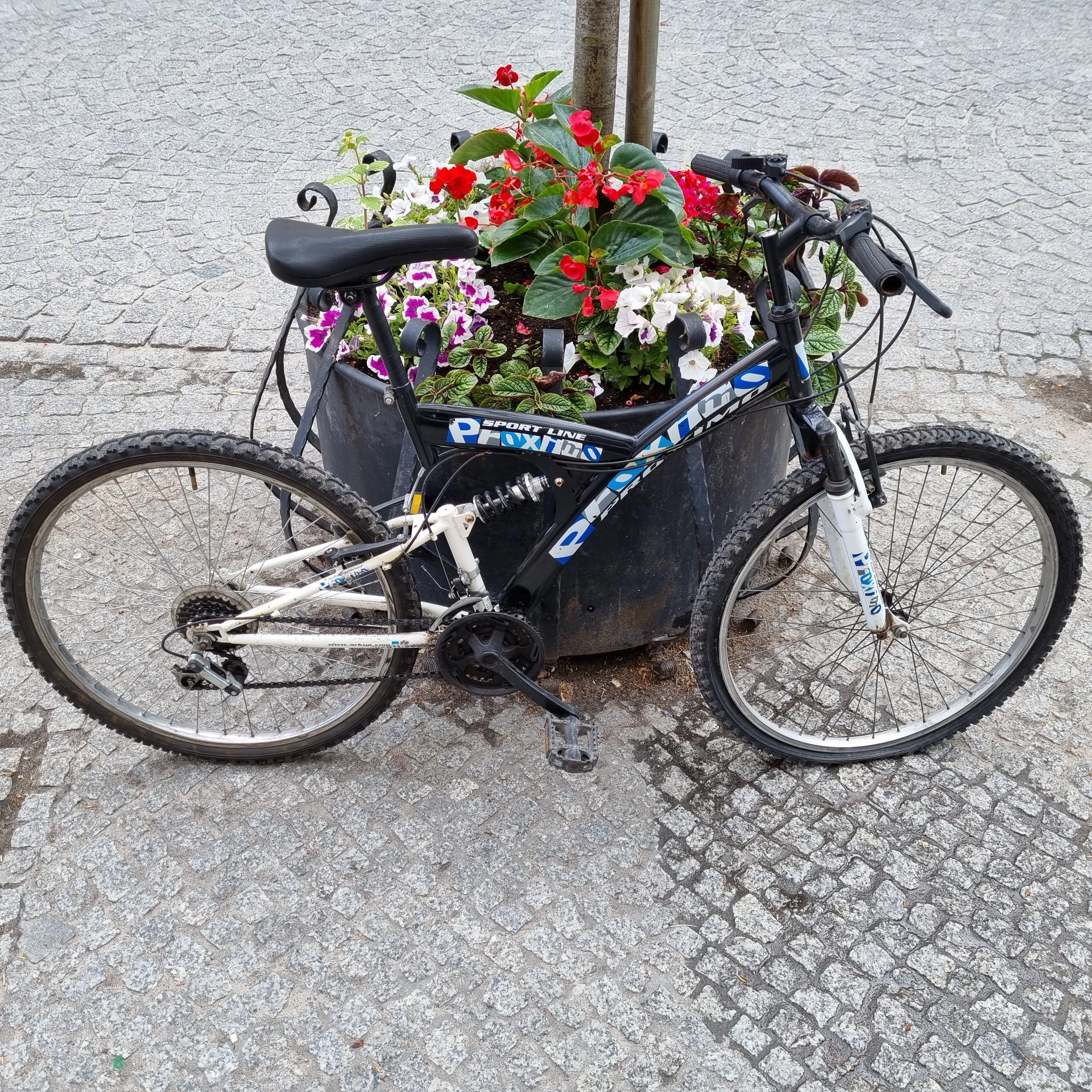 rower-proximo-ultra-light-ean-gtin-0022122302428