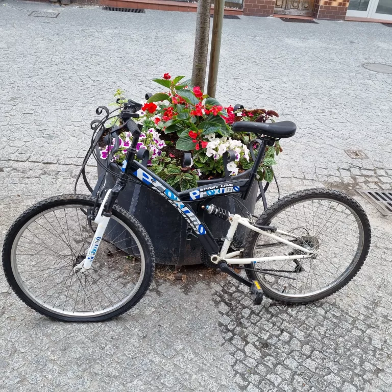 rower-proximo-ultra-light-sniadeckich-11-znin