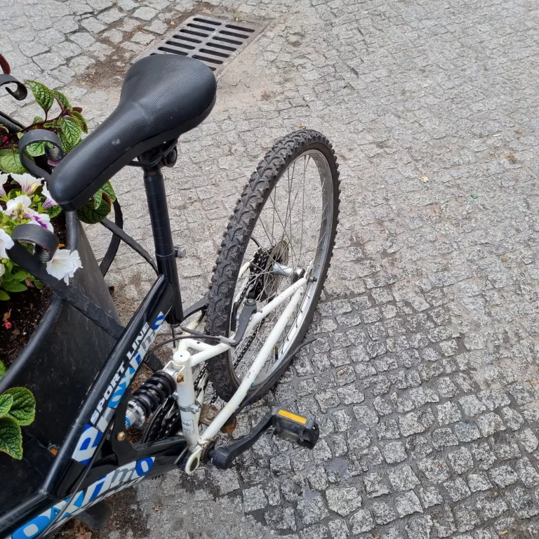 rower-proximo-ultra-light-kolor-szary