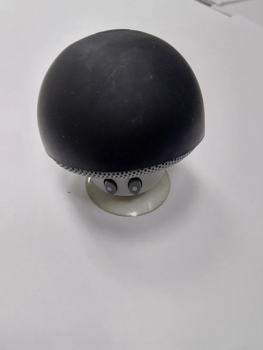 glosnik-grzybek-orzegowska-25-bytom