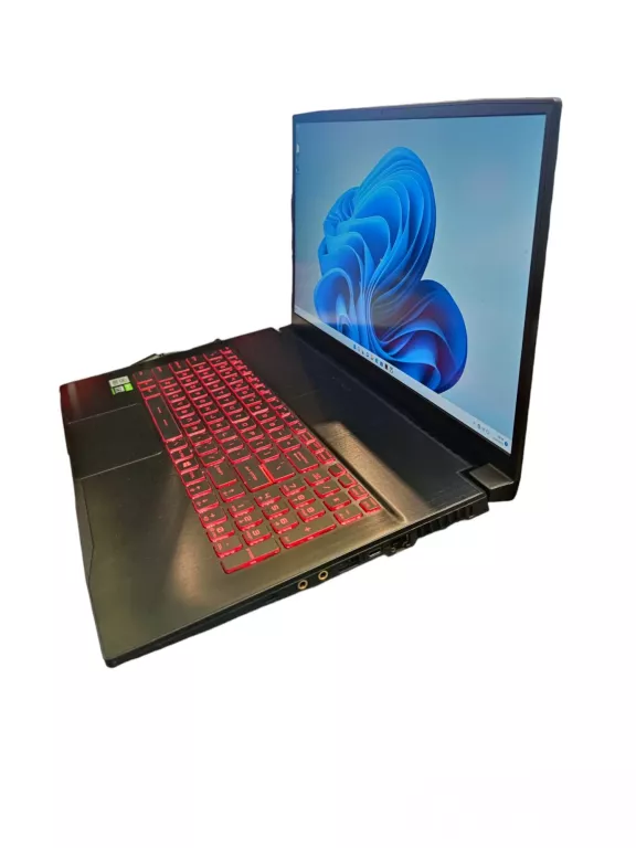LAPTOP MSI GF75 THIN 10UC 8 GB/512 GB I5 WIN11 PRO