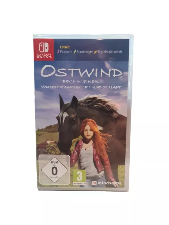 gra-nintendo-switch-ostwind-beginn-einer-grunwaldzka-4764-jaworzno