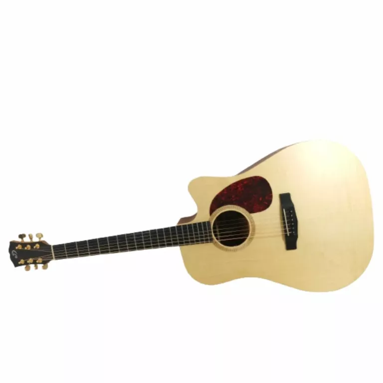 GITARA DOWINA PUELLA DCE-DS + GOTOH SG381-05