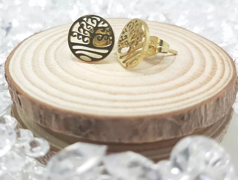 kolczyki-stal-chirurgiczna-eap-26020-gajowa-70-wroclaw