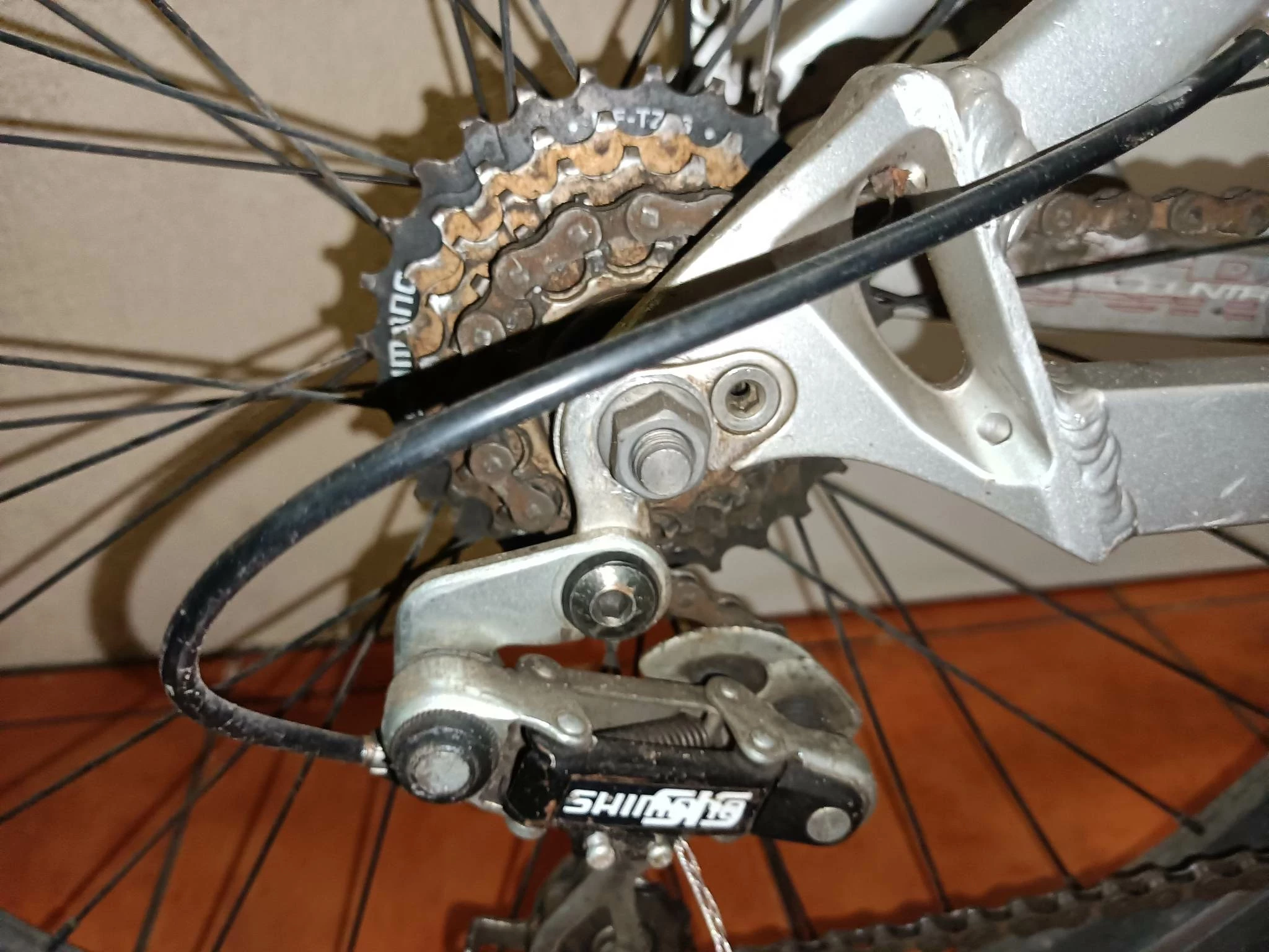 rower-master-gdx-stan-11323-253798