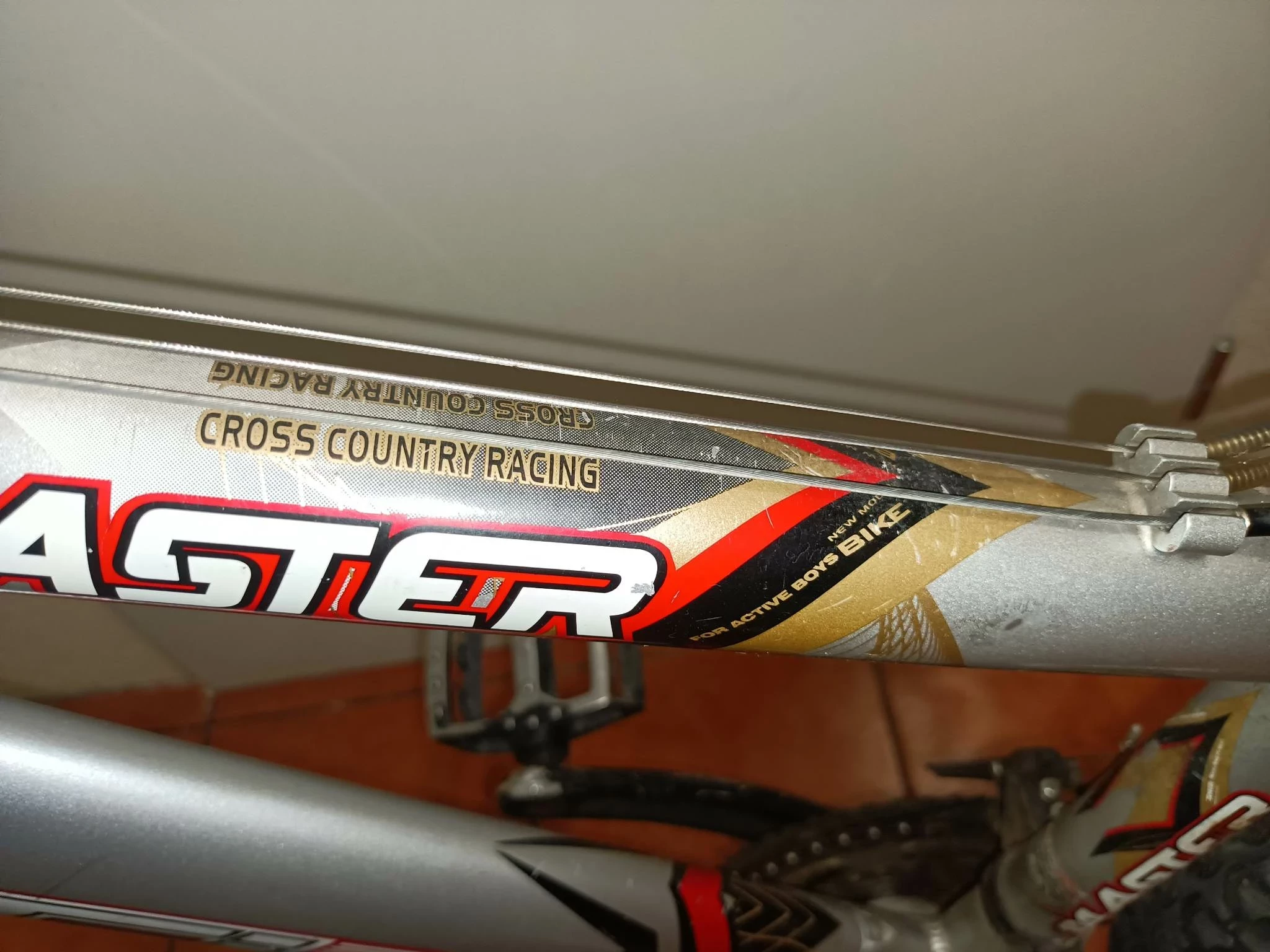 rower-master-gdx-stan-11323-253798