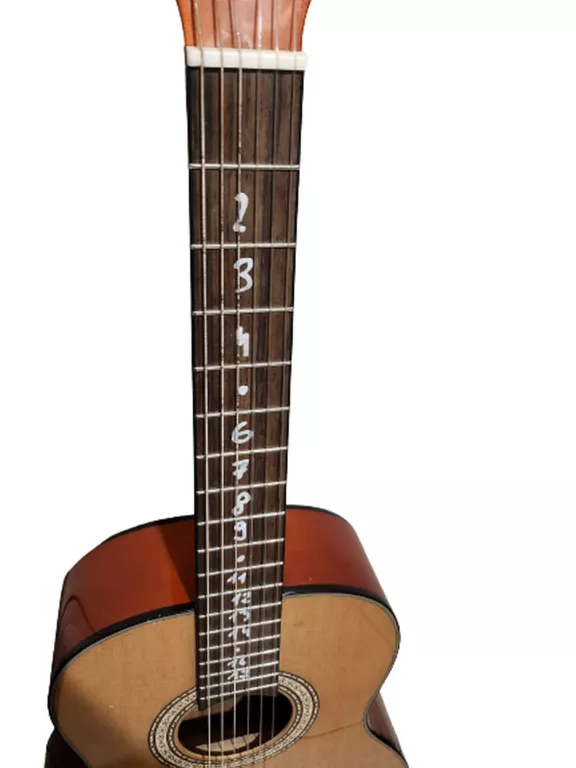 GITARA OSCAR SCHMIDT OC 1