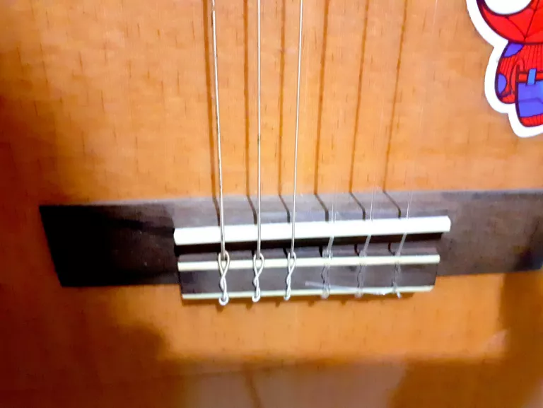 GITARA OSCAR SCHMIDT OC 1