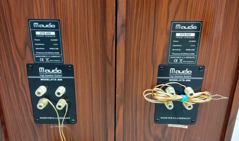 2 GŁOSNIKI  MAUDIO HTS-800