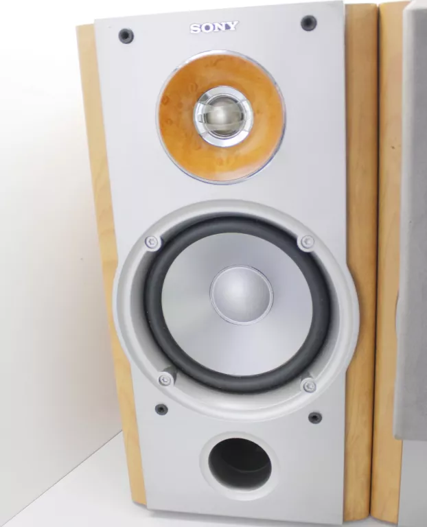 KOLUMNY SONY SS-NX1