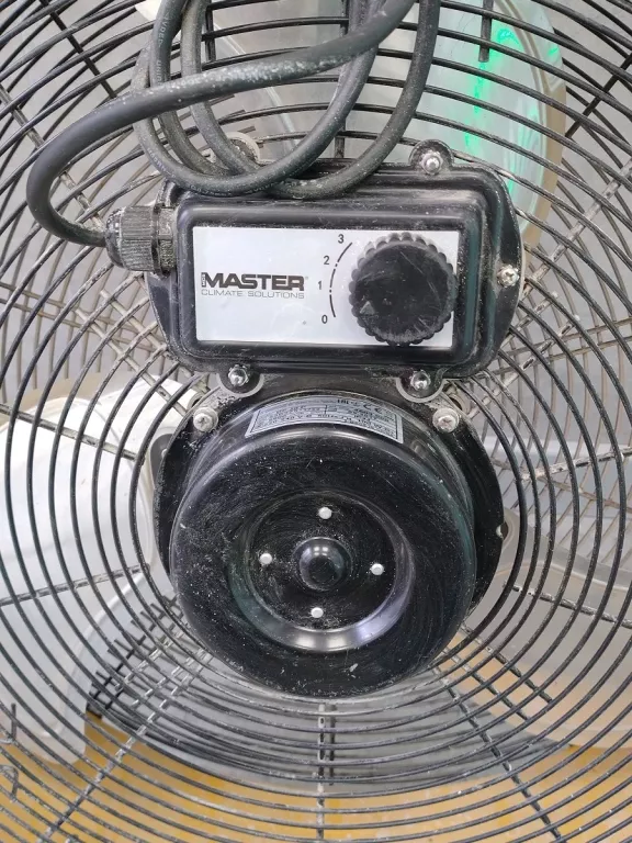 WENTYLATOR OSIOWY MASTER DF-20P