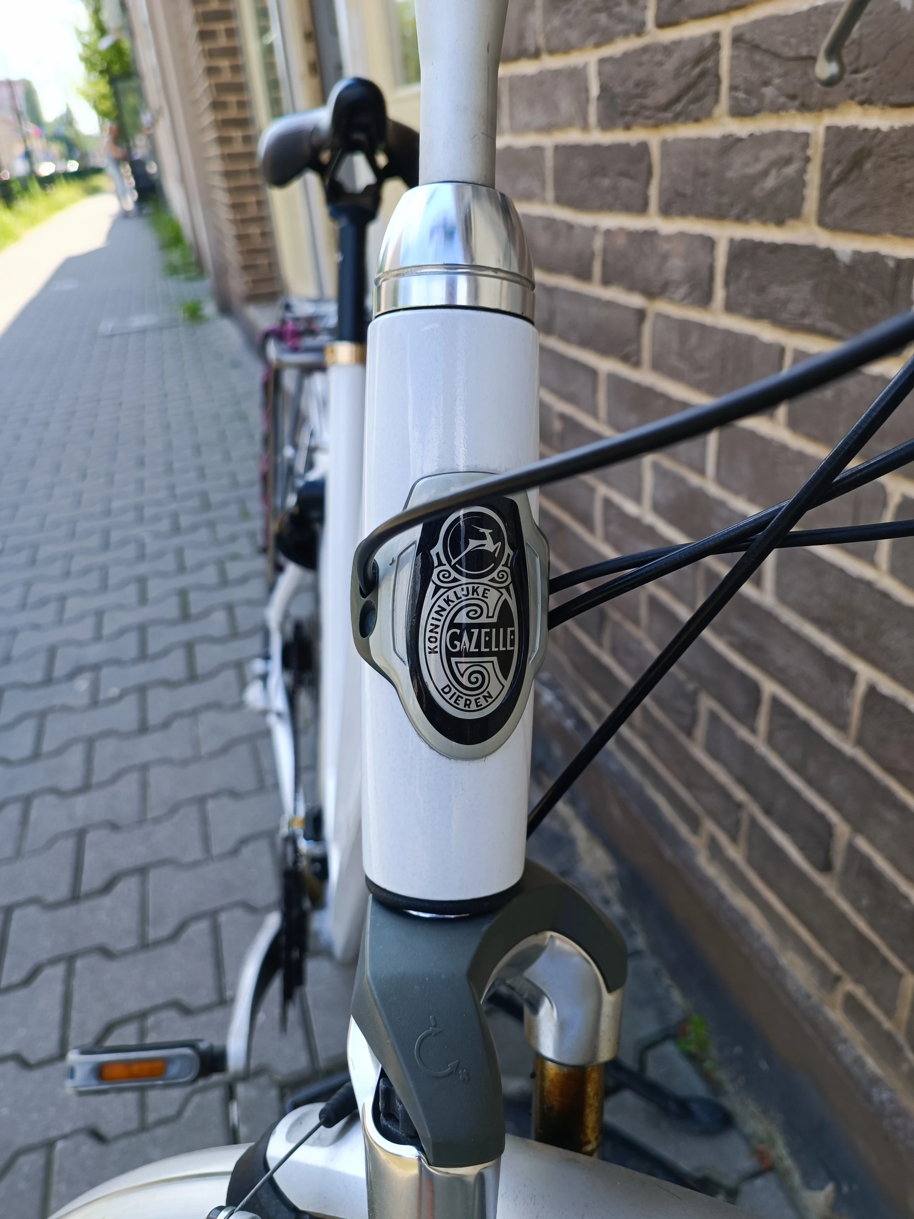 rower-miejski-gazelle-chamonix-rozmiar-kola-28