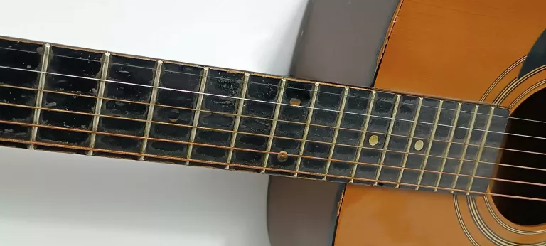 gitara-encore-en165ea-rodzaj-pudla-inny